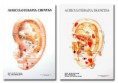 auriculoterapia